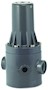 1/4 Inch (in) National Pipe Thread (NPT) Polyvinyl Chloride (PVC) Pressure Regulator/Reducing Valve with Fluorocarbon (FKM) Seal